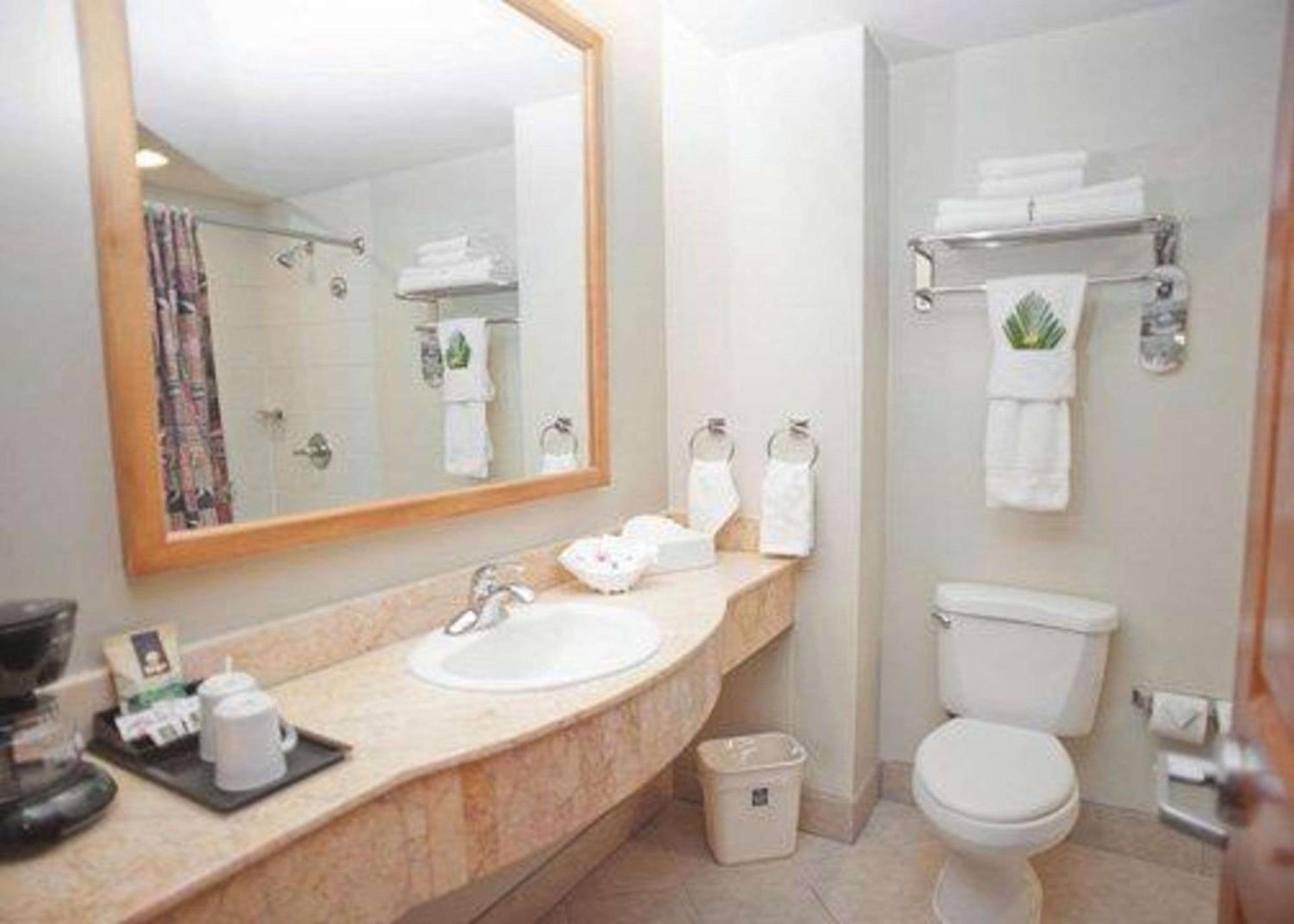 Standard Double Room,1149688993:JPEG